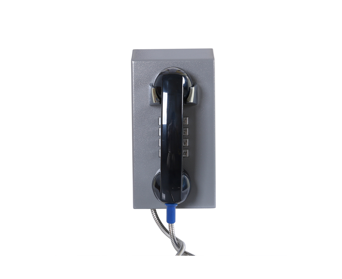 AHS100FK-IP