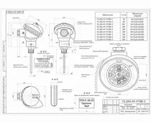 Габаритный чертеж TS-D1-HT-PT100 G1/2