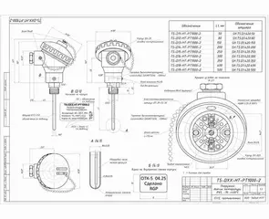Габаритный чертеж TS-D1-HT-PT1000 G1/2