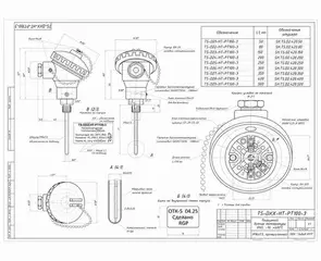 Габаритный чертеж TS-D2-HT-PT100 M16x1.5
